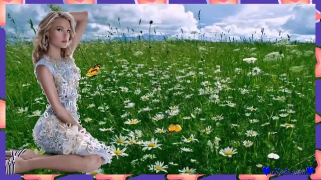 Василёк мой Василёк