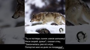 Стихотворение «Волчица»