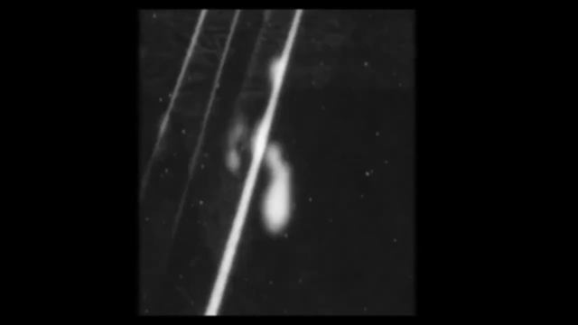 Шалости 1&2 / Monkeyshines, Pts 1&2 (1890) смотреть онлайн