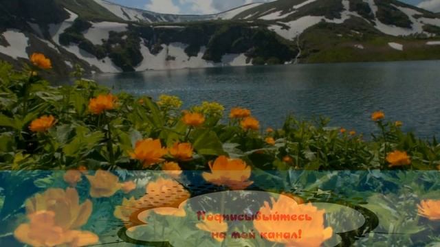 Вместо репетитора Елена Викторовна