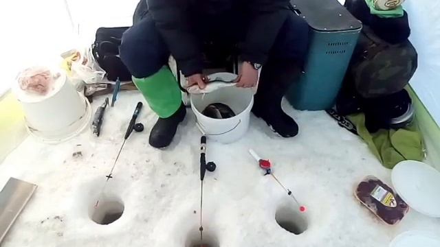 УХТА 2023 #корюх #рыбалка #ухта #навага #мотособака #adventure #море