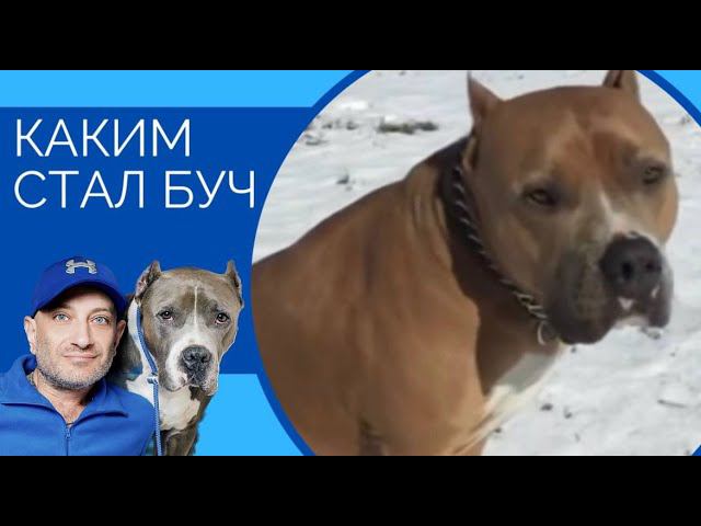 Каким стал БУЧ смотреть онлайн