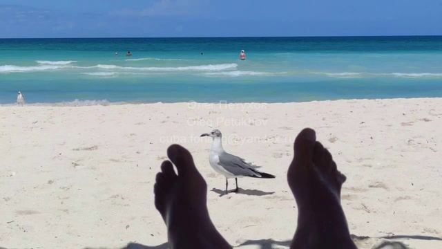 Куба. Cuba. 古巴。 132