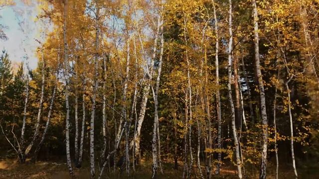 Осенняя сказка ??? смотреть онлайн