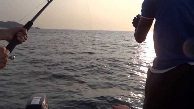 Поимка большого ротана смотреть онлайн