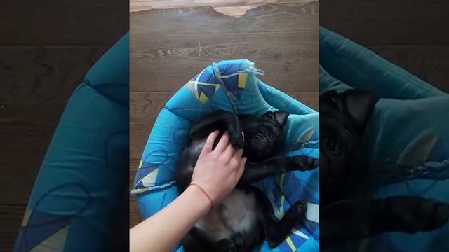 Сладкий дневной сон смотреть онлайн