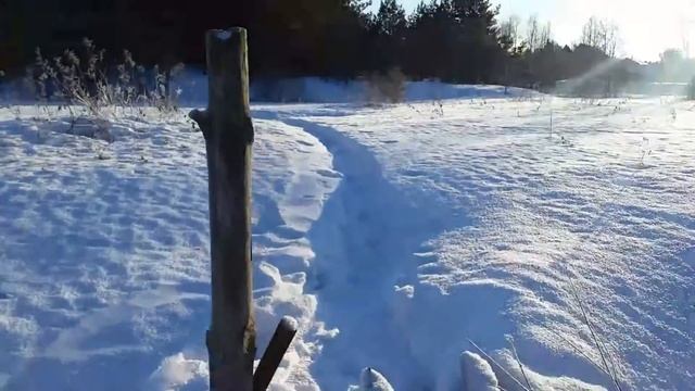 #5-village/holiday/fun. Деревня Орёл/новогодние каникулы/-35° смотреть онлайн