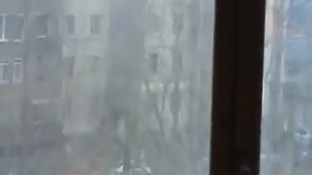 Магнитико Чау чау щенки смотреть онлайн