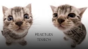 Ахн плейлист, чтобы чувствовать себя в эдите