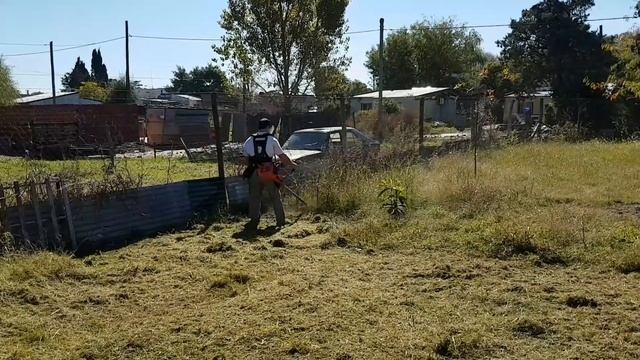 Echo bcls-580 смотреть онлайн