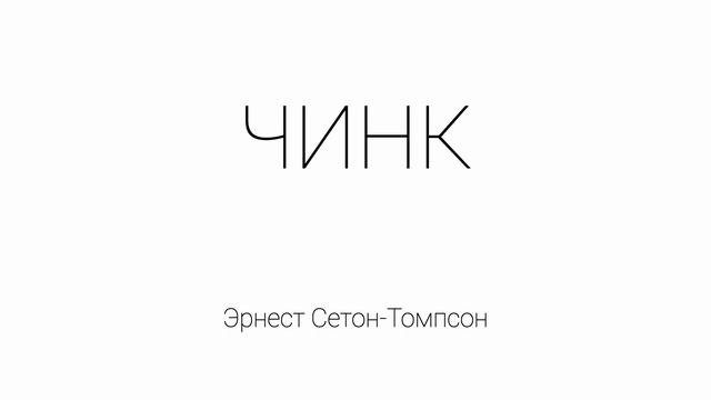 Самые умные существа