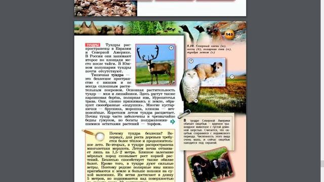 География 5-6к. §56 Ледяные пустыни и тундры смотреть онлайн