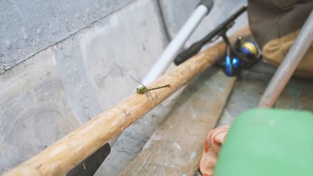 Рыболовные Орнаменты