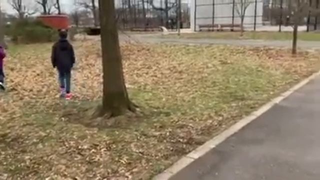 Бруклин, Marine Park 1 января 2021 года. #бруклин #marinepark #новыйгод #2021 смотреть онлайн