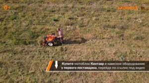 Обзор: Мотоблок Кентавр 2013Б и 2091Д (Toyokawa) с роторной косилкой в работе.