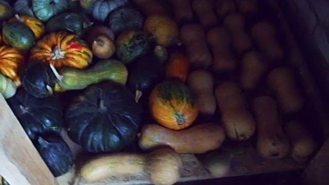 Закрома сыроедов смотреть онлайн