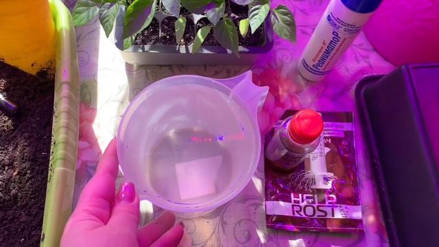 🌱Пересадка рассады перца смотреть онлайн