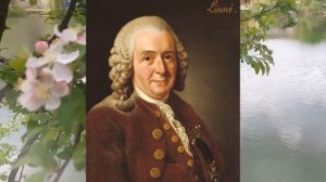 Биология 7 класс, "Классификация животных и основные систематические группы"