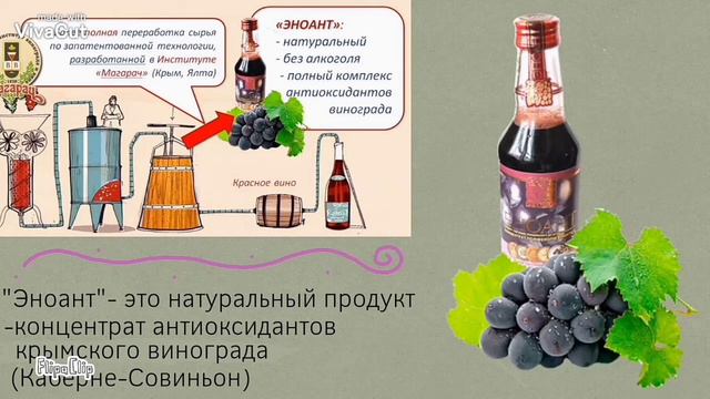 История Зефирки (СевГу команда "Зефир") смотреть онлайн