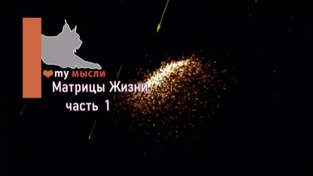Ангелайт - Матрицы Жизни. Как достичь желаемого с помощью Матриц Жизни Часть 1 смотреть онлайн