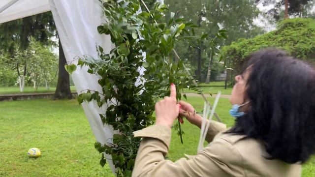 Цветочное оформление праздника. Декор шатра. Флористика смотреть онлайн