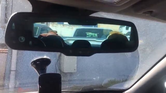 Auto Dimming Mirror With Monitor On Peugeot 406