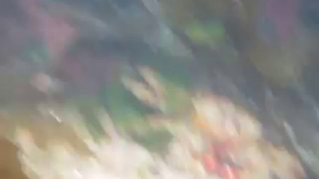 крабы на м. Крильон Сахалин смотреть онлайн