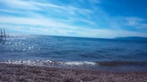 ЛИСТВЯНКА БАЙКАЛ ЛЕТО 2022