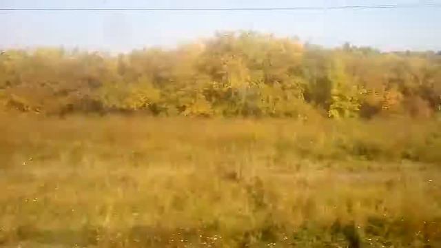 15.09.2019. Омск. Ул. 15-я Рабочая - Ст. Сыропятское. смотреть онлайн