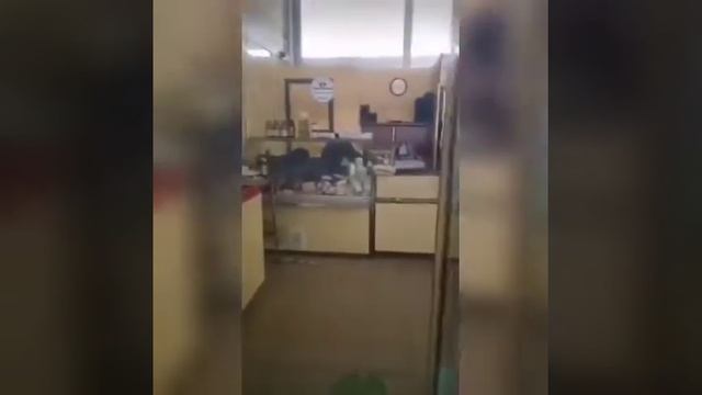 Пьяный любитель сыра вломился в магазин, объелся и уснул в витрине смотреть онлайн