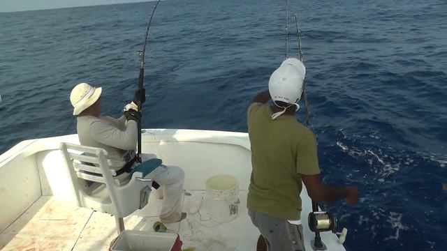 Доминикана. Морская рыбалка. Сразу две дорадо. смотреть онлайн