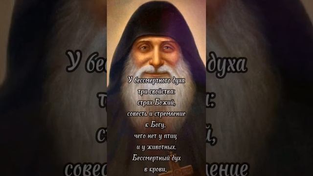 Преподобный Гавриил Самтаврийский (Ургебадзе) смотреть онлайн