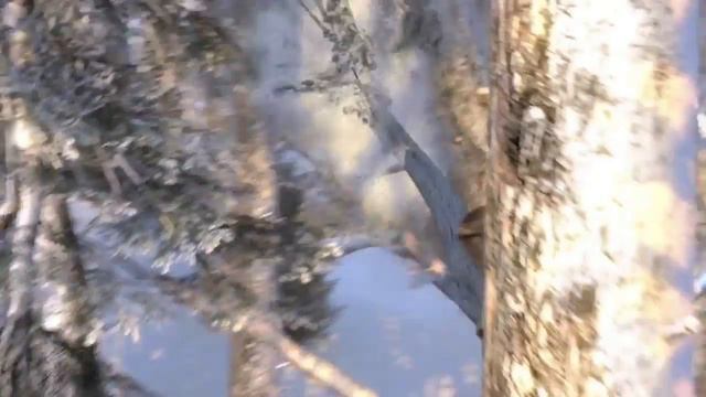 Assassin's Creed III Announcement Trailer [North America] смотреть онлайн