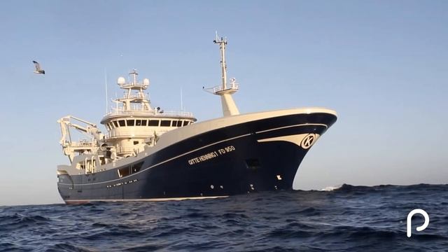 Fishfacts - satellite AIS смотреть онлайн