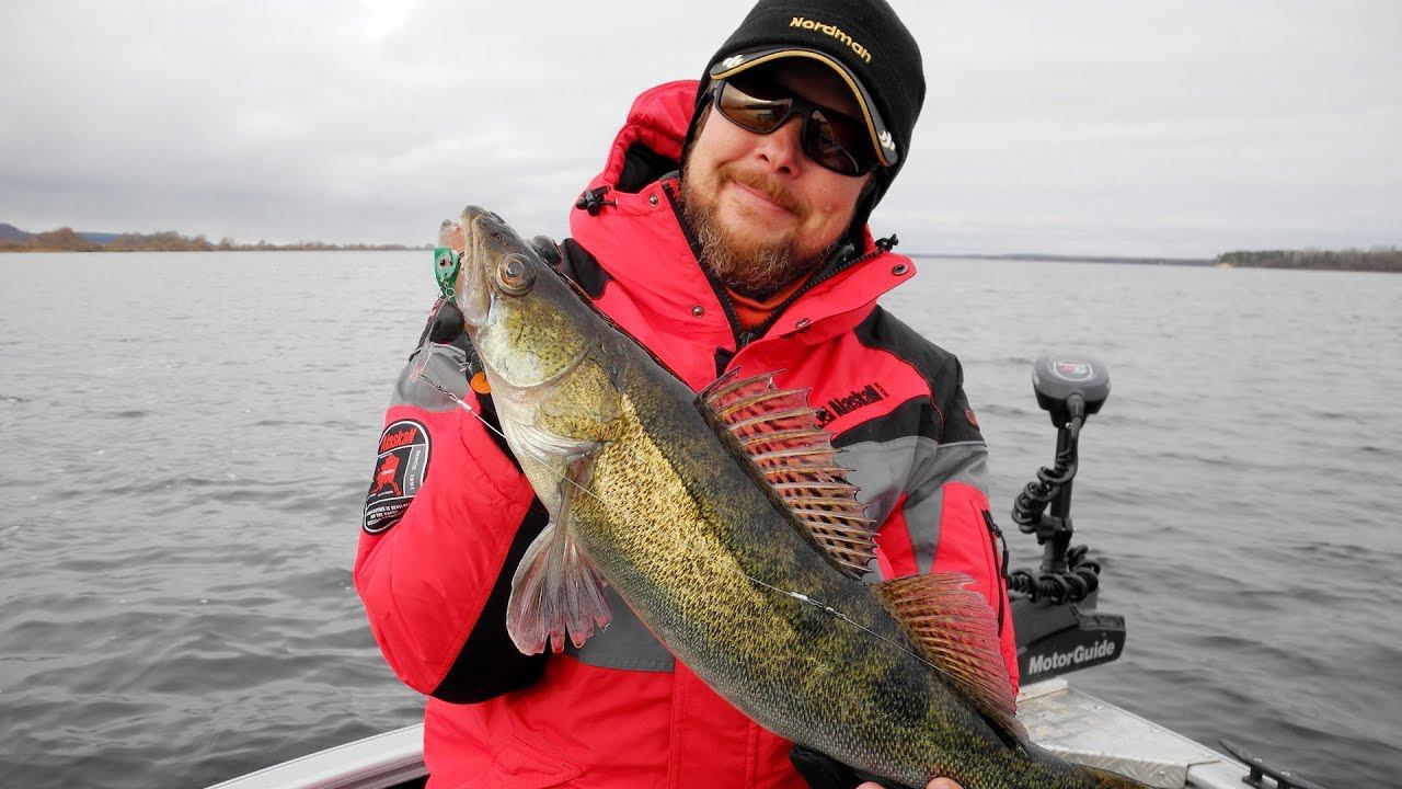 Судаки из-под бели. Ловля клыкастых на зелёные приманки смотреть онлайн