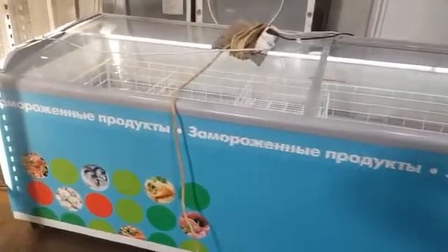 Морозильная бонета UGUR BODRUM 2500 FR БУ смотреть онлайн