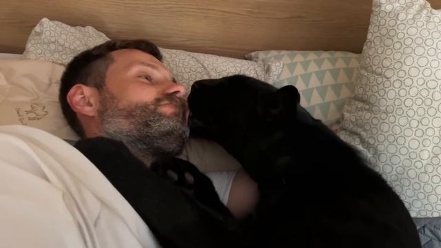 Gentle Panther Luna?❤️