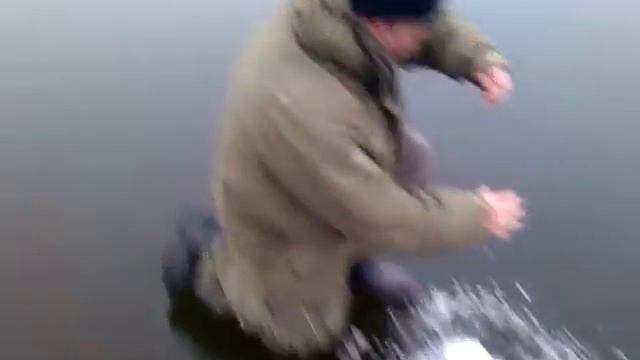 Сход живца смотреть онлайн