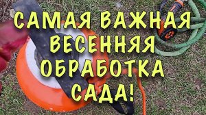 ИЗБАВЬТЕСЬ от ВРЕДИТЕЛЕЙ и БОЛЕЗНЕЙ за ОДИН РАЗ! САМАЯ ВАЖНАЯ весенняя ОБРАБОТКА РОЗ и ВСЕГО САДА