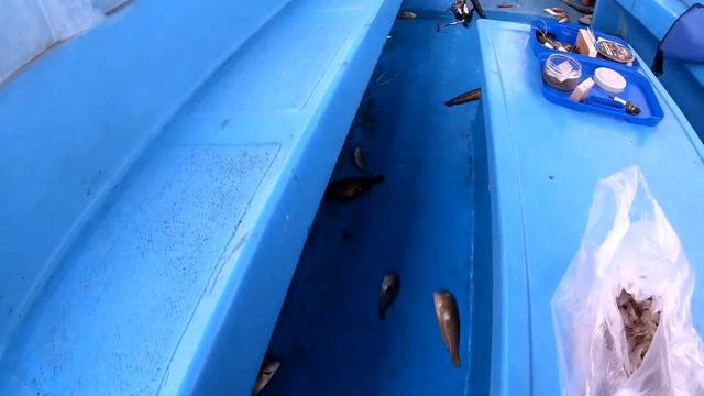 Рыбалка в Индийском океане смотреть онлайн