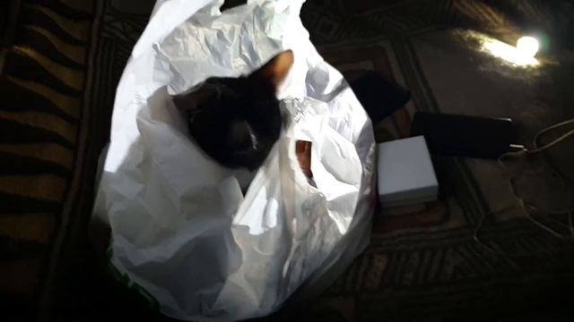 Романтический вечер при отсутствии электричества. смотреть онлайн