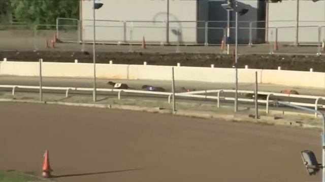 Magical Richie - The Blunsdon Maiden Standard смотреть онлайн