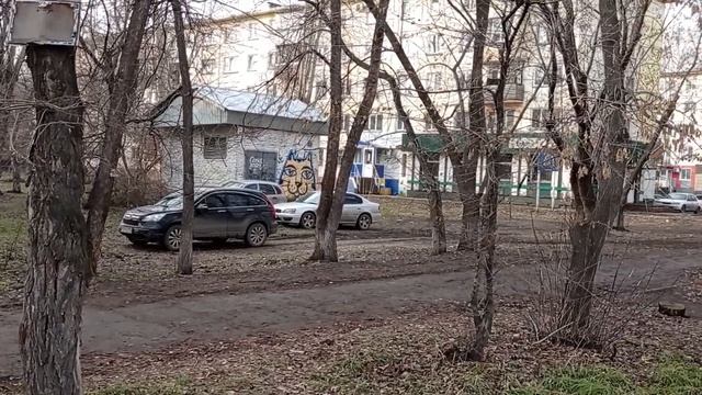Заезд через тротуар и парковка на зеленых насаждениях смотреть онлайн