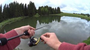 Ловля окуня на микроджиг. Применение оснастки Джиг-Риг.