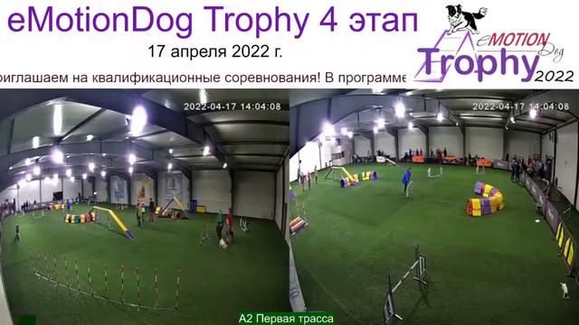 eMotionDog Trophy 4 этап 17 апреля 2022 г. смотреть онлайн