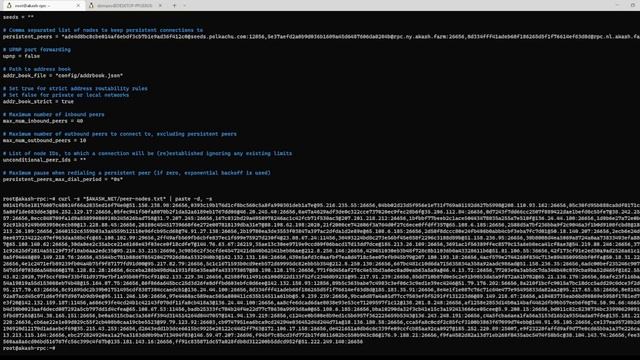 Build an Akash Node CLI смотреть онлайн
