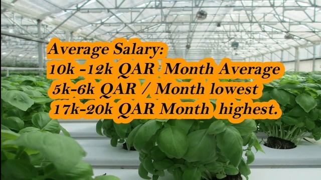 Agriculture Jobs Salary in UAE I Agriculture Engineer jobs Salary in Gulf Countries смотреть онлайн