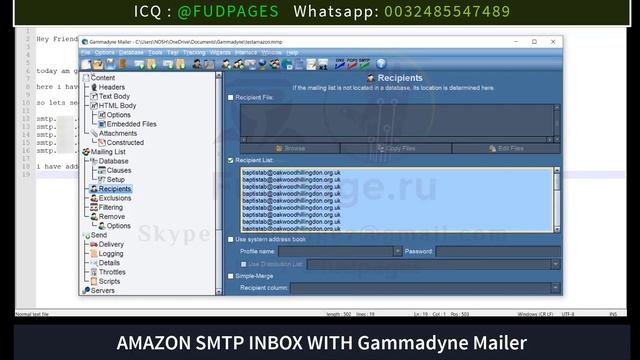 Amazon Smtp with Gammadyne mailer смотреть онлайн