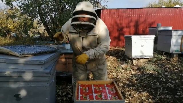 Грибные мастер-классы