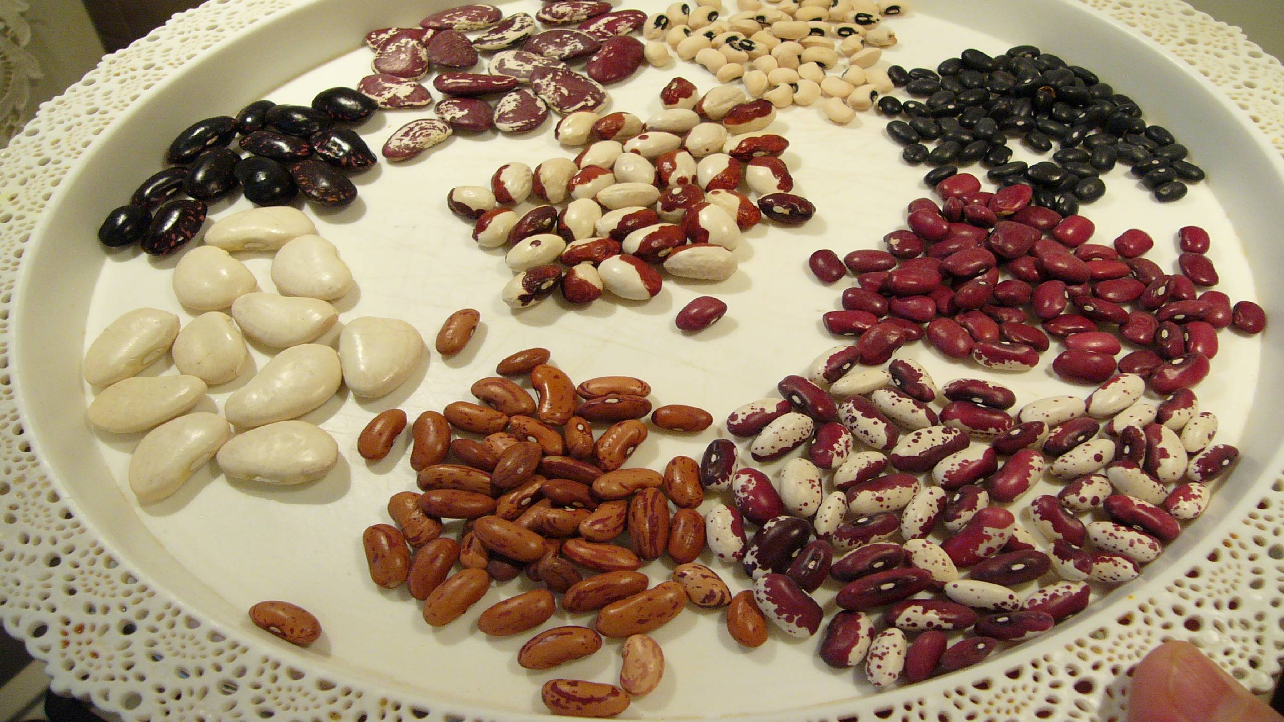 Фасоль из моей коллекции. Обзор сортов. смотреть онлайн